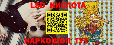 Альфа ПВП Ярославль