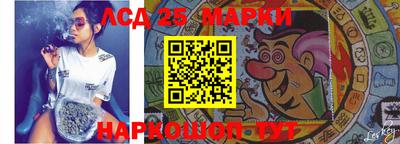 Альфа ПВП Ярославль