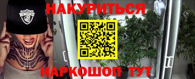 Альфа ПВП Ярославль