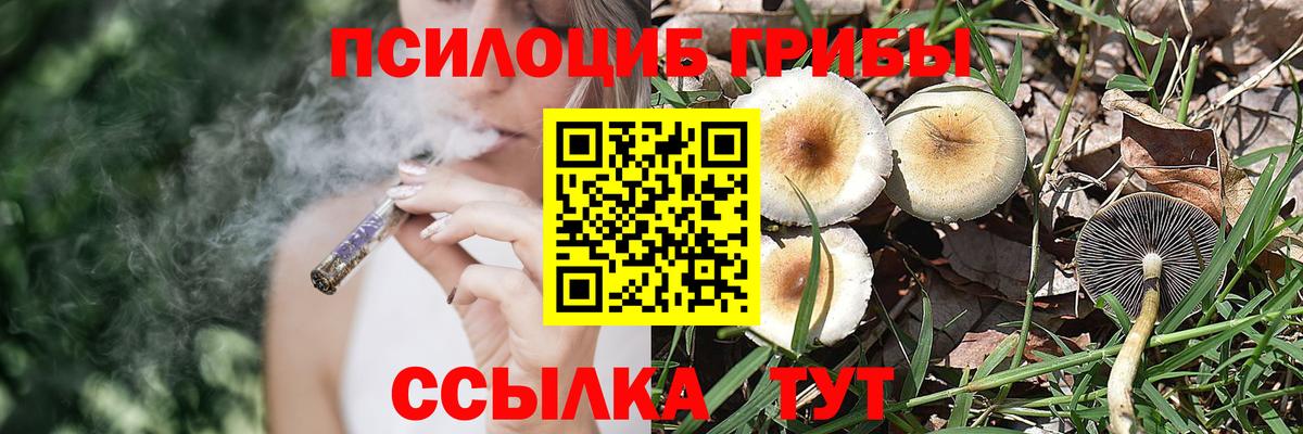 Псилоцибиновые грибы мухоморы Белорецк