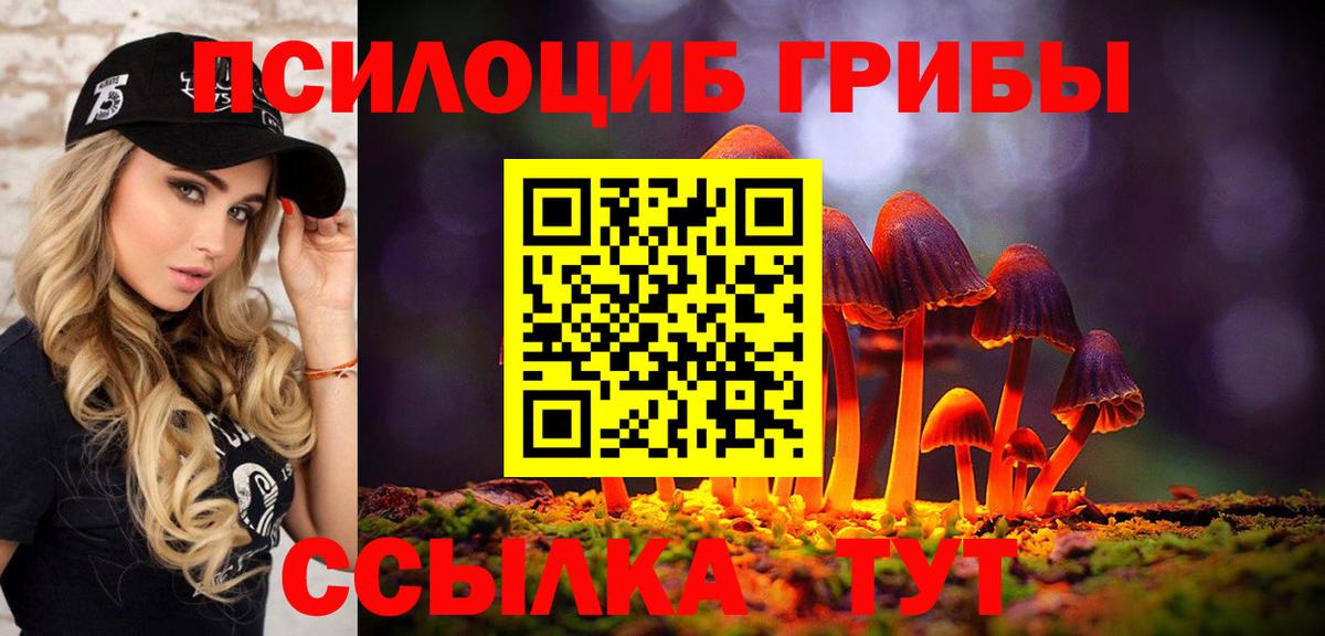 Белорецк  купить закладку  Вход с VPN  Галлюциногенные грибы Psilocybe 